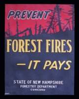 1920s-30s New Hampshire Dept. of Forestry Forest Fire Prevention Poster by National Printing