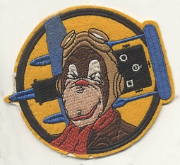 WWII USAAF 34th Photo Reconnaissance Squadron, 10th PRG, 9th AF Patch