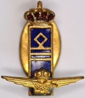 Italian Air Force WWII Service and Rank Lapel Pin - Captain