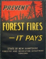 1920s-1930s New Hampshire Dept. of Forestry Forest Fire Prevention Poster by Jutex Water-Resistant
