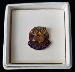 Cool 1940's-50's Loyal Order of Moose 25 Year Member Pin in High Quality Enamel & Gilt Brass