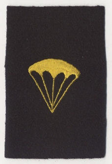 Rare WWII US Navy Parachute Rigger Specialty Sleeve Rating