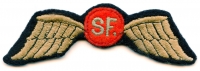 Extra Rare WWII Special Force (SF) Wing as Worn by OSS Operators in ETO