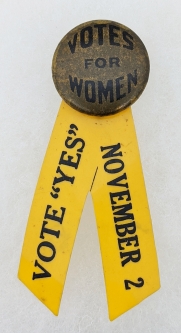 Rare 1915 Women's Suffrage Celluloid Pinback & Ribbon from the New York Referendum of that year