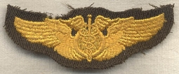 Early WWII Flight Surgeon Wing