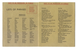 WWII USAAF European Theatre Escape & Invasion Phrase Book