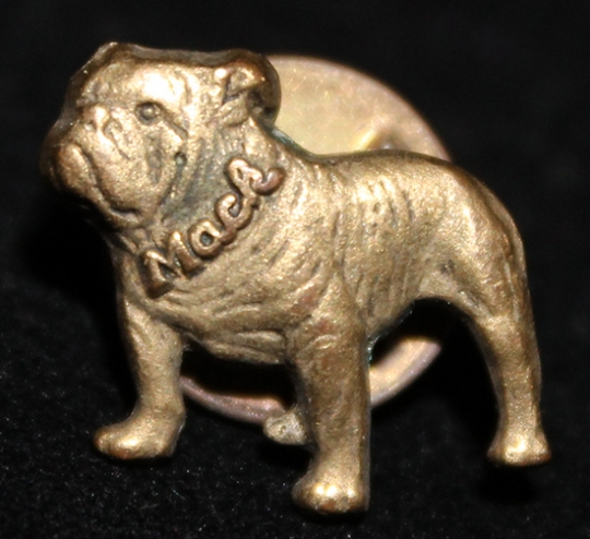 Bulldog clearance tie clip
