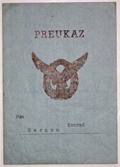 Very Rare Slovakian Pilot Badge Award Document to a Luftwaffe Pilot Konrad Bargum