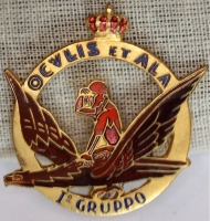 talian Air Force Aviazione Legionaria 1st Observation Group Pin Badge