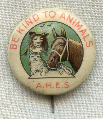 1900 American Humane Education Society (AHES) Donation Celluloid Pin