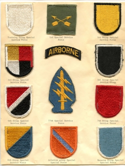Ca 1963 Grouping of 11 pieces US Army Special Forces Beret Flashes and More