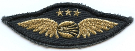 Circa 1968-1972 Continental Air Services Inc. (CASI) 1st Officer Shirt-Size Wing