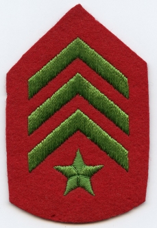 Scarce 1930's Civilian Conservation Corps (CCC) Field Leader Rank Stripes (Single)