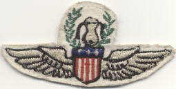 Great US Air Force Vietnam Novelty Wing with Snoopy