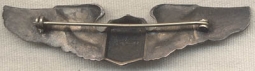 Rare Pattern, Possibly Orber, AAF-Issue Pilot Wing