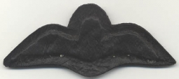 Post-WWII Pakistan Air Force Pilot Wing