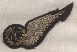 Rare WWII Royal Air Force (RAF) Air Gunner Wing in Bullion