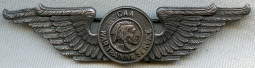 Nice WWII CAA Civil Aeronautics Administration WTS War Training Service Instructor Wing Indian Head