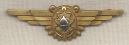 Stunning WWII US Navy Flight Surgeon Wing by Amico