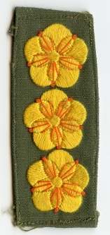 Republic of Viet Nam Army Captain Rank, Hand-Embroidered on Rip-Stop